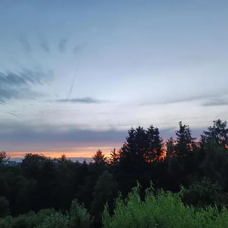 In Leuderode Beim Wildpark *