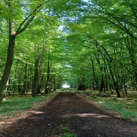 Apartament In Leuderode Beim Wildpark *