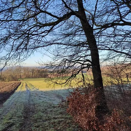 Apartament In Leuderode Beim Wildpark