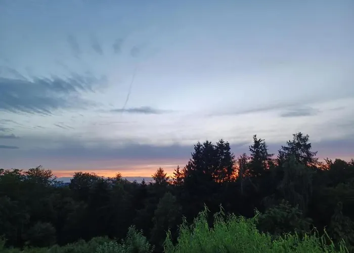 In Leuderode Beim Wildpark *