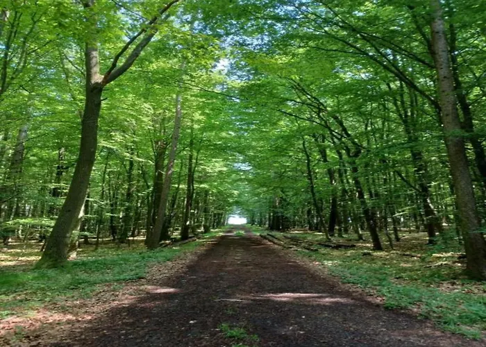 Apartment In Leuderode Beim Wildpark *