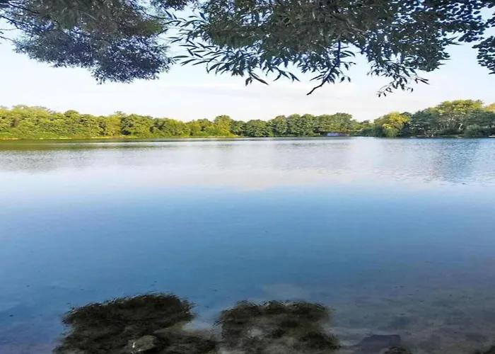 Apartment In Leuderode Beim Wildpark Frielendorf