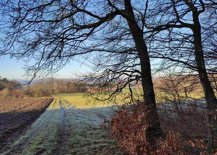 Apartment In Leuderode Beim Wildpark